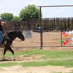 Ace of Spades - Platinum Equine Auction