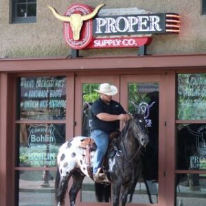 Ace of Spades - Platinum Equine Auction