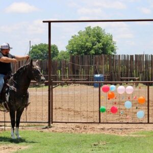 Ace of Spades - Platinum Equine Auction