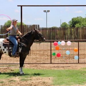 Ace of Spades - Platinum Equine Auction