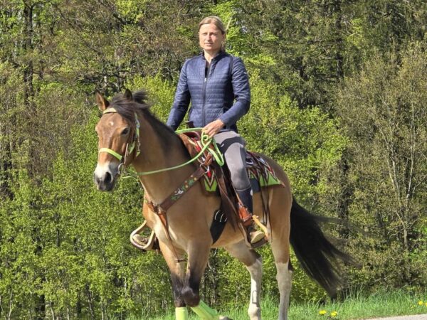 ALLROUND- Freizeit-Wanderreiten