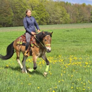 ALLROUND- Freizeit-Wanderreiten