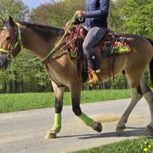 ALLROUND- Freizeit-Wanderreiten
