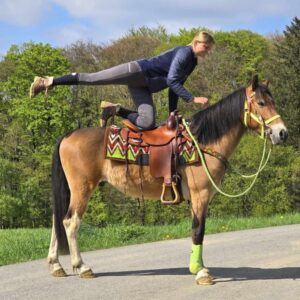ALLROUND- Freizeit-Wanderreiten