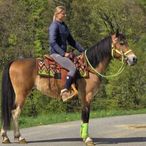 ALLROUND- Freizeit-Wanderreiten