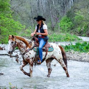 Amaretto - Platinum Equine Auction