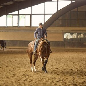 FUTURITY PROSPECT - 3Y OLD Stallion BY GUNNATRASHYA
