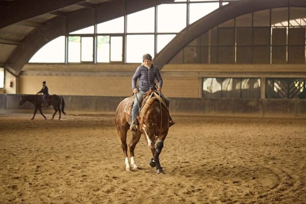 FUTURITY PROSPECT - 3Y OLD Stallion BY GUNNATRASHYA