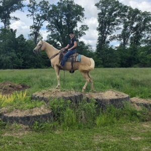 Jenny Is A Stunning Palomino Perfect For The Whole Family!