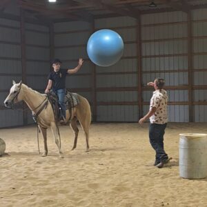 Jenny Is A Stunning Palomino Perfect For The Whole Family!