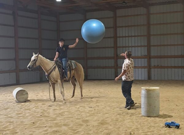 Jenny Is A Stunning Palomino Perfect For The Whole Family!