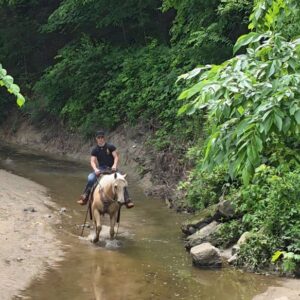 Jenny Is A Stunning Palomino Perfect For The Whole Family!