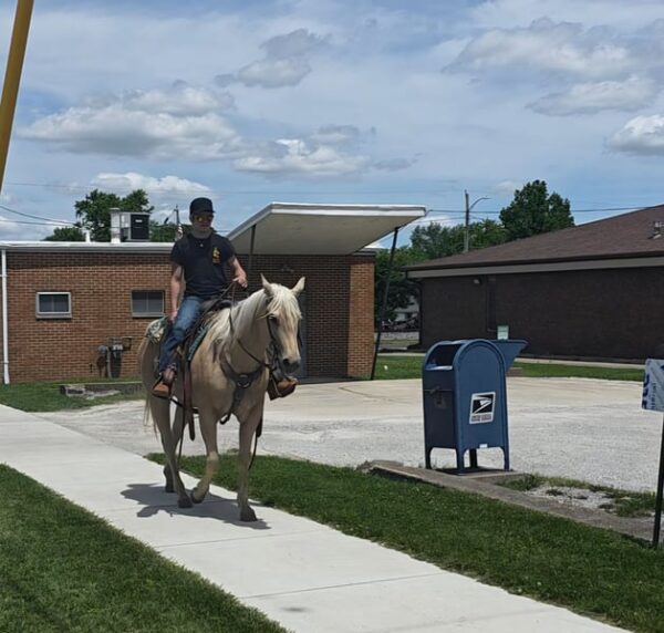 Jenny Is A Stunning Palomino Perfect For The Whole Family!