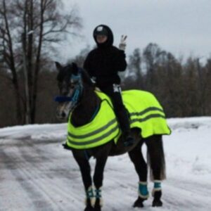 Riding school horse