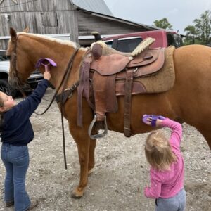 This All Around Palomino Gelding Is Stunning!