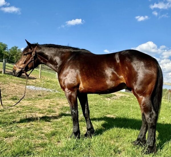 Turbo Is As Sweet As He Is Big! Perfect Family Guy!